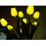 Тюльпаны латекс (9 цветков)